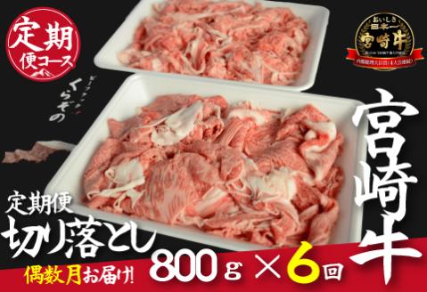 【定期便・全６回】倉薗牧場直送A４等級以上宮崎牛切り落とし　800ｇ×6回コース（偶数月発送）（定期便 肉 国産 肉定期便 和牛 赤身 霜降り 宮崎牛 宮崎 小林市 薄切り すき焼き スライス 人気）
