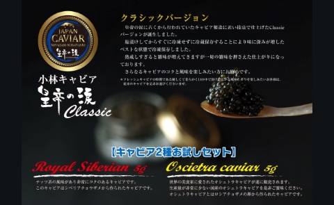 【純国産キャビア】皇帝の涙２種食べ比べおためしセット 10g 国産 チョウザメ キャビア オシェトラ 食べ比べ