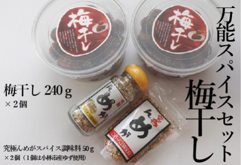 【無添加梅】梅干しと万能スパイスセット