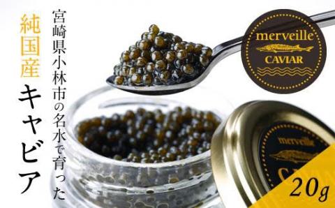 【定期便：年12回】【純国産宮崎キャビア】メルベイユキャビア240g<20g×12回>