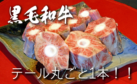 【黒毛和牛専門店直送】黒毛和牛テール 1本　約1㎏　（国産 牛肉 希少部位 ビーフシチュー）