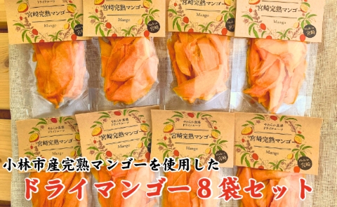 【旬の果物100％】果物好きのためのドライフルーツ　宮崎完熟マンゴーセット