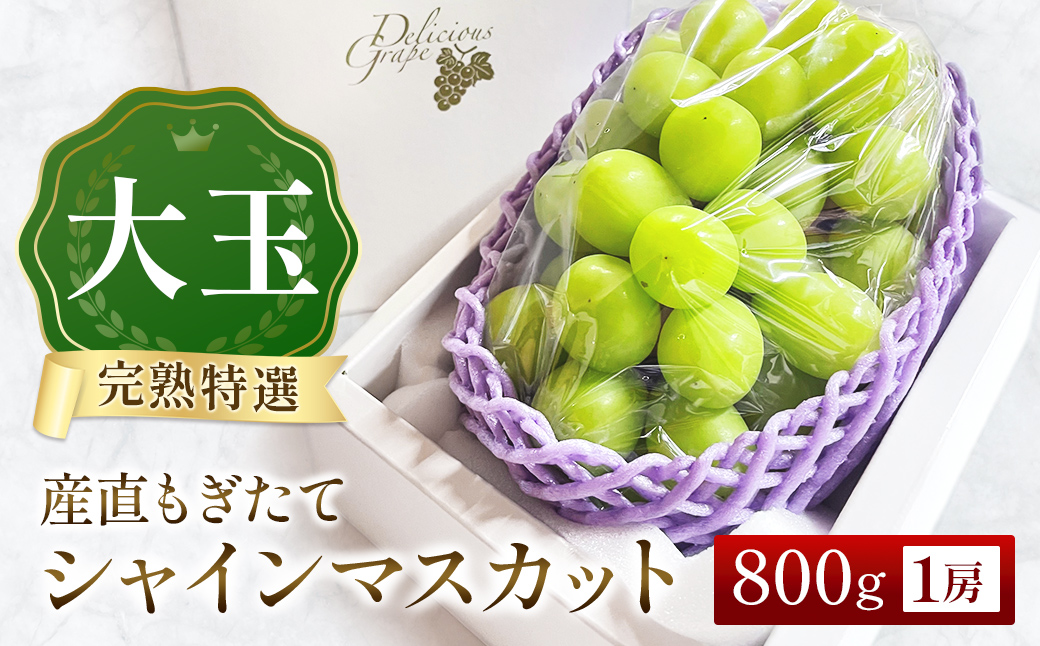 【先行受付・産直もぎたて】大玉 特選 シャインマスカット 800g（国産 フルーツ 果物 くだもの ブドウ ぶどう 旬 先行受付 2026 大玉 厳選 限定）