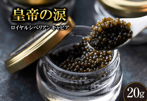 【純国産キャビア】ロイヤルシベリアンキャビア 20g 皇帝の涙 国産 チョウザメ 魚卵 宮崎県