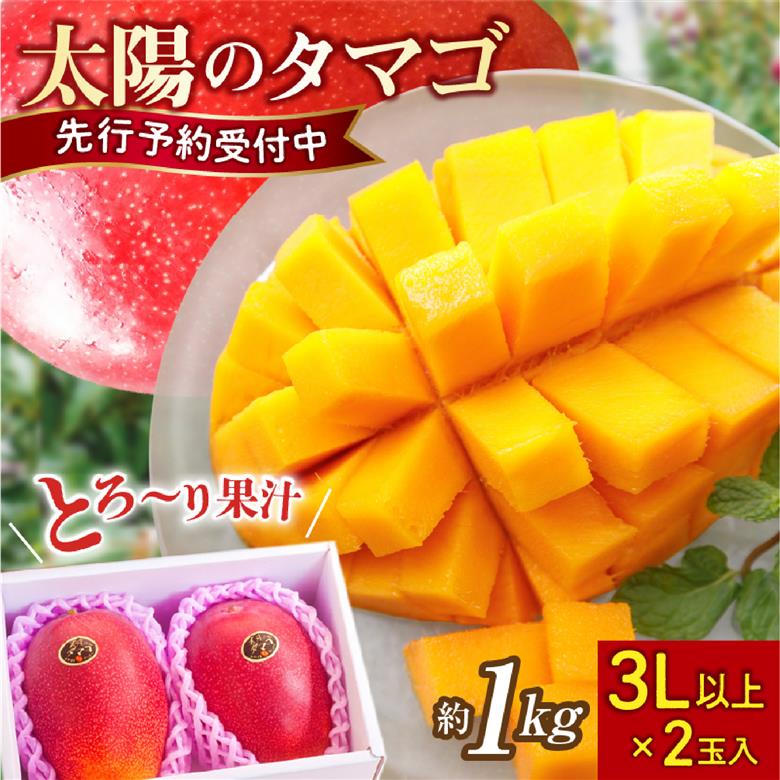 【先行受付】厳選大玉宮崎完熟マンゴー「太陽のタマゴ」　2玉　計１キロ程度（フルーツ 2026 マンゴー 先行予約 太陽のタマゴ 宮崎 小林市 果物 人気）