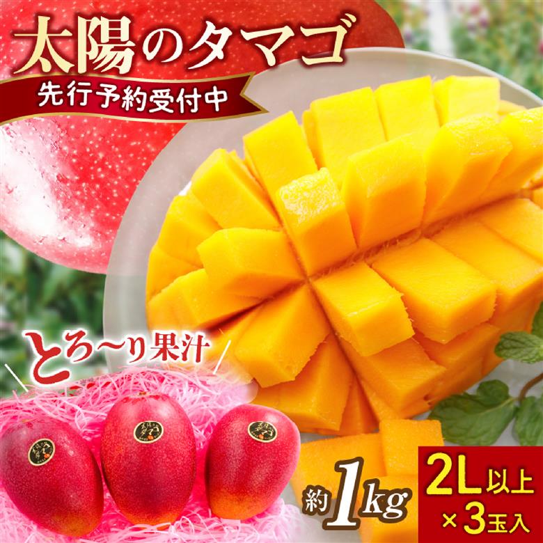 【先行受付】厳選宮崎完熟マンゴー「太陽のタマゴ」よくばり3玉 計1kg程度（マンゴー 完熟マンゴー 太陽のタマゴ フルーツ 先行予約 宮崎 果物）