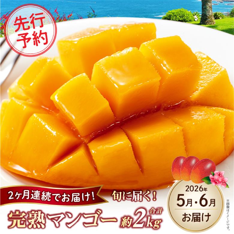 【先行予約！マンゴー定期便・全2回】小林市産「完熟マンゴー」コース(5月,6月）定期便 フルーツ フルーツ定期便 2026 マンゴー 先行予約 宮崎 果物 人気