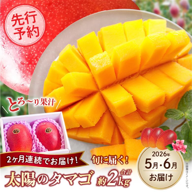 【先行予約！マンゴー定期便・全2回】小林市産 完熟マンゴー 「太陽のタマゴ」コース（定期便 フルーツ フルーツ定期便 2026 マンゴー 先行予約 太陽のタマゴ 宮崎 小林市 果物 人気）