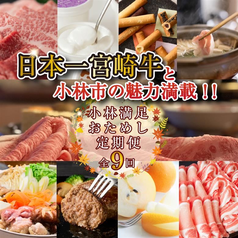 【定期便・全9回】日本一宮崎牛と小林市の魅力満載!!! 小林満足おためし定期便 10万円コース（国産 牛肉 国産牛 和牛 黒毛和牛 すき焼き フルーツ お菓子  豚肉 鶏肉 スイーツ 定期便） 全９回おためし定期便