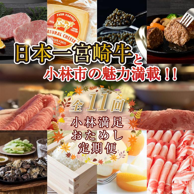 【定期便・全11回】日本一宮崎牛と小林市の魅力満載！！小林満足おためし定期便　20万円コース（国産 牛肉 国産牛 和牛 黒毛和牛 フルーツ お菓子  豚肉 鶏肉  キャビア 定期便） 全11回おためし定期便