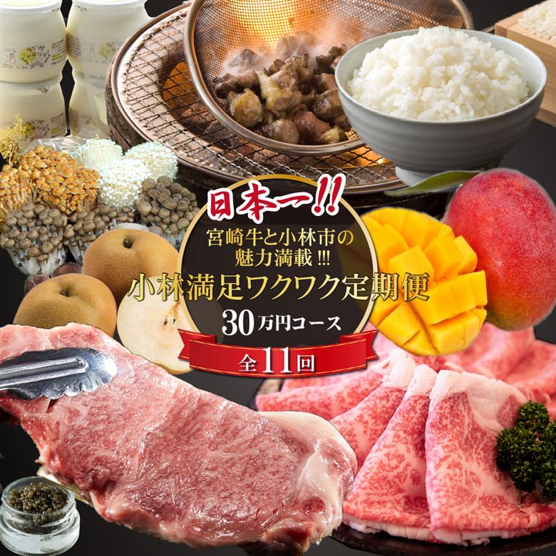 【定期便・全11回】日本一宮崎牛と小林市の魅力満載!!! 小林満足ワクワク定期便 30万円コース（国産 牛肉 国産牛 黒毛和牛 マンゴー お菓子 豚肉 鶏肉 キャビア 定期便） 全11回ワクワク定期便