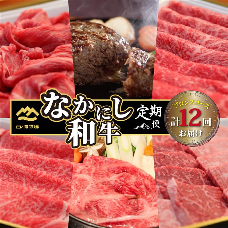 【定期便・全12回】西ノ原牧場直送 なかにし和牛ブロンズコース（肉定期便 黒毛和牛 和牛 牛肉  赤身 ブランド牛 ステーキ 焼肉 すき焼き 宮崎県 小林市）