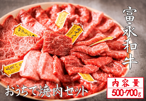 【自社農場和牛】富永和牛おうちで焼肉セット（国産 牛肉 和牛 赤身 霜降り 焼肉 BBQ 限定）