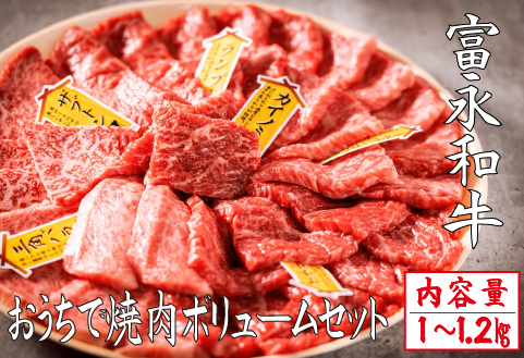 【自社農場和牛】富永和牛おうちで焼肉ボリュームセット（国産 牛肉 和牛 赤身 霜降り 焼肉 BBQ 限定）