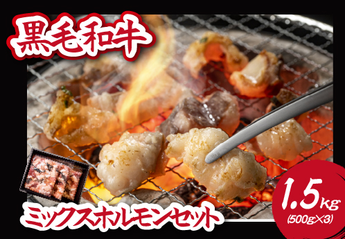 【自社農場和牛】黒毛和牛ミックスホルモン 1.5㎏（国産 黒毛和牛 牛肉 ホルモン 焼肉 BBQ 冷凍 送料無料）