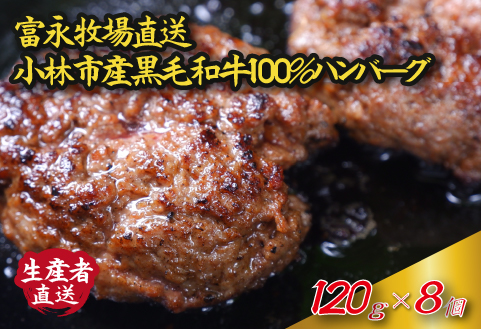 【自社農場和牛】富永和牛手作りハンバーグ（ハンバーグ 牛肉 牛肉100% 国産 冷凍 調理済 宮崎 惣菜 小林市）