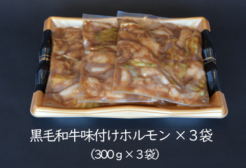 宮崎県産黒毛和牛濃厚味付けホルモン900g（ 牛 国産 ホルモン 300g 3パック 焼肉 炒め物）