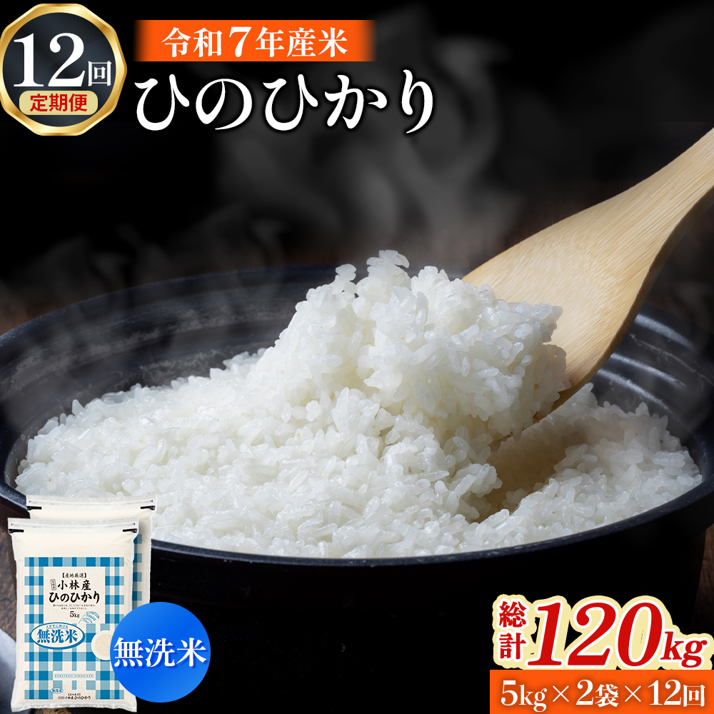 【定期便 全12回】【令和7年産米】無洗米ヒノヒカリ 10kg×12回 お米 米 新米 ヒノヒカリ 無洗米 国産 人気 お弁当 宮崎県 小林市 10kg（5kg×2袋）×12回