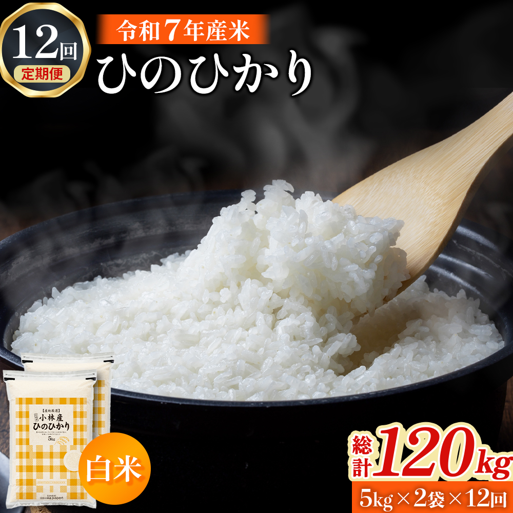 【定期便 全12回】【令和7年産米】ヒノヒカリ 10kg×12回 お米 米 新米 ヒノヒカリ 国産 人気 お弁当 宮崎県 小林市 10kg（5kg×2袋）×12回