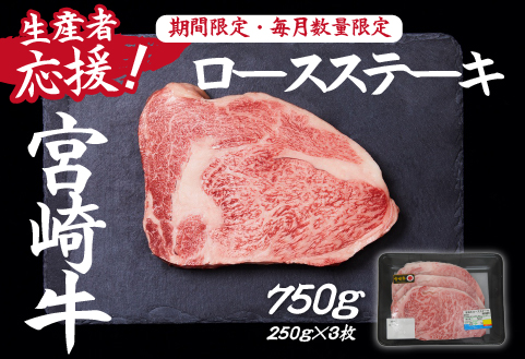 【生産者応援】宮崎牛ロースステーキ750g（250g×3枚 宮崎牛 和牛 国産 牛肉 霜降り ステーキ ロース 冷凍 送料無料） 250g×3枚