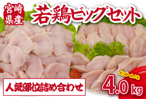 【人気部位詰め合わせ】宮崎県産若鶏4kgビッグセット（若鶏 国産 モモ ムネ ササミ 小分け 大容量 冷凍）