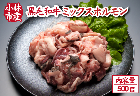 【自社農場和牛】黒毛和牛ミックスホルモン 500g（国産 牛肉 黒毛和牛 ホルモン 焼肉 BBQ 冷凍）