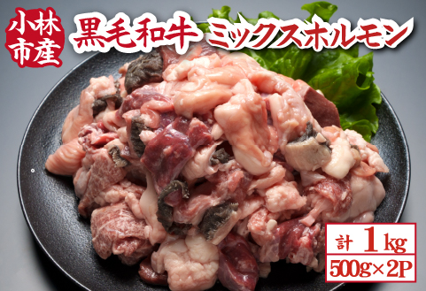 【自社農場和牛】黒毛和牛ミックスホルモン 1kg（500g×2P 国産 牛肉 黒毛和牛 ホルモン 焼肉 BBQ 冷凍）