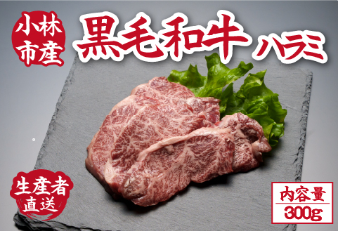 【自社農場和牛】メス指定黒毛和牛ハラミ 300g（国産 黒毛和牛 牛肉 ハラミ 焼肉 BBQ 冷凍）