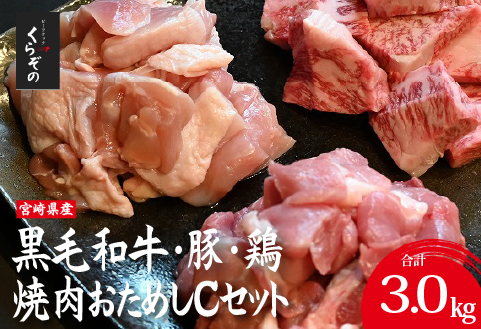 宮崎県産 牛・豚・鶏 焼肉おためしCセット 計3kg（牛肉 豚肉 鶏肉 和牛 焼肉 訳あり 小分け 食べ比べ）