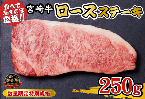 宮崎牛 ロースステーキ 250g（牛肉 黒毛和牛 畜産農家応援 ロース ステーキ 赤身 数量限定）