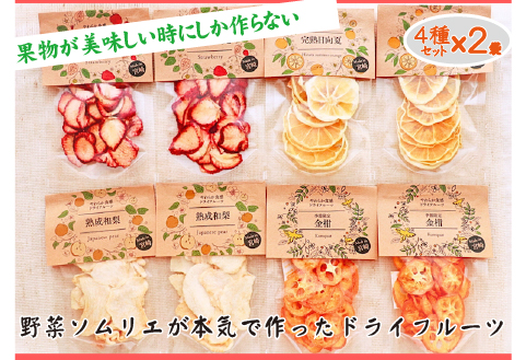 【旬の果物100％】果物好きのためのドライフルーツ 人気4種セット