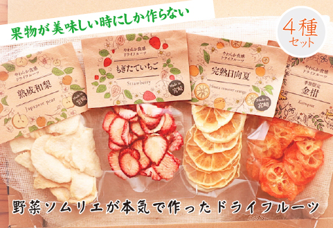 【旬の果物100％】果物好きのためのドライフルーツ おためし4種セット