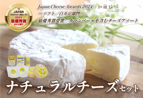 【国内コンテスト最優秀賞受賞！】ナチュラルチーズセット （カマンベールチーズ モッツァレラチーズ さけるチーズ チーズ 詰め合わせ 人気）