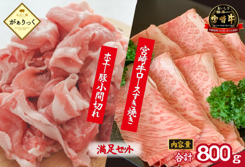 宮崎牛霜降りロースすき焼きとホエー豚小間切れセット 計800g（牛肉 和牛 豚肉 ロース 小間切れ こま切れ 豚小間 すき焼き すき焼き用）