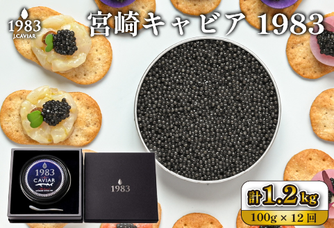 【定期便・全12回】＜国際線ファーストクラス採用＞宮崎キャビア1983 100g×12回（国産 キャビア 魚卵 宮崎県 宮崎 小林市 定期便）