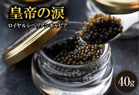 【純国産キャビア】ロイヤルシベリアンキャビア 40g 皇帝の涙 国産 チョウザメ 魚卵 宮崎県