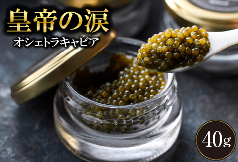【年内発送】【純国産キャビア】オシェトラキャビア 40g 皇帝の涙 国産 チョウザメ 魚卵 宮崎県 小林市