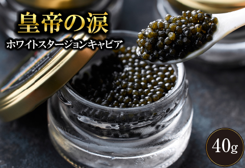 【年内発送】【純国産キャビア】ホワイトスタージョンキャビア 40g 皇帝の涙 国産 チョウザメ 魚卵 宮崎県 宮崎 小林市