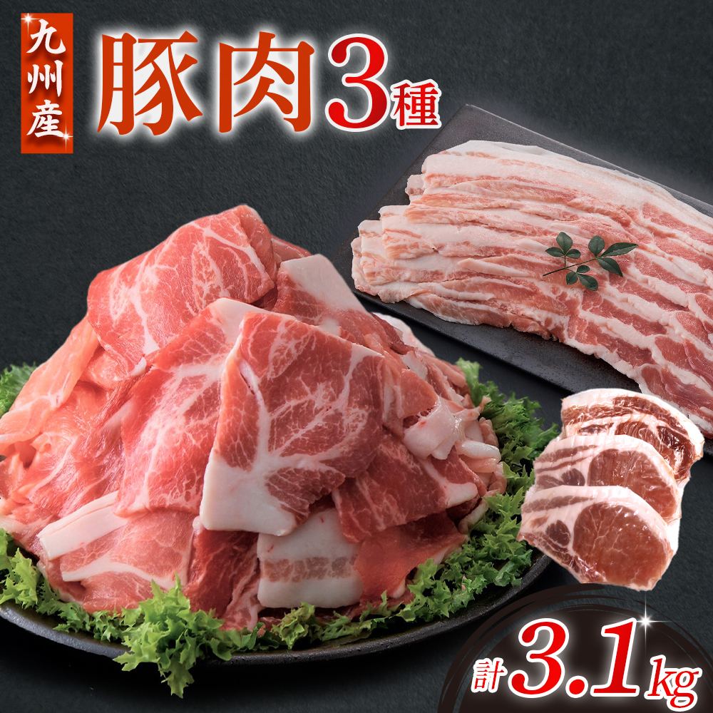 【部位3種食べ比べ!!】【数量限定】九州産豚肉 3種セット 計3.1kg（ 国産 豚 豚肉 豚肉セット 豚肉小分け とんかつ 豚バラ 豚スライス 豚ロース 豚切り落とししゃぶしゃぶ 大容量 冷凍 ）
