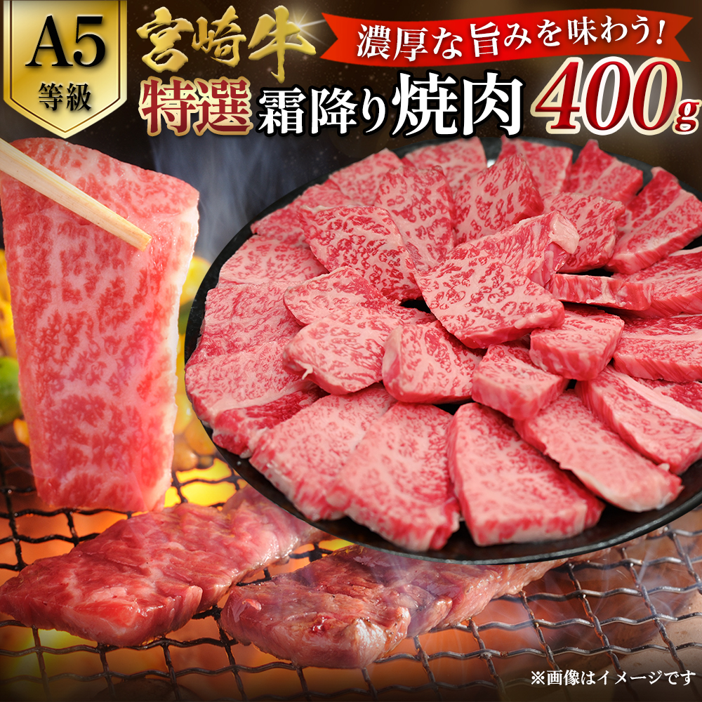 【選べる容量】【A5等級】宮崎牛特選霜降り焼肉 （400g×1P） 宮崎牛 プレミアムシリーズ ブランド牛 和牛 牛肉 焼肉 特選和牛 霜降り A5 宮崎県 小林市 400g