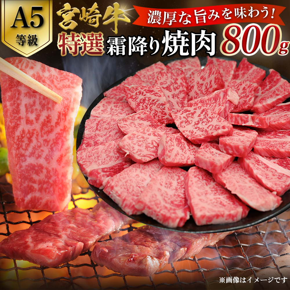 【選べる容量】【A5等級】宮崎牛特選霜降り焼肉 800g（400g×2P） 宮崎牛 プレミアムシリーズ ブランド牛 和牛 牛肉 焼肉 特選和牛 霜降り A5 宮崎県 小林市 800g