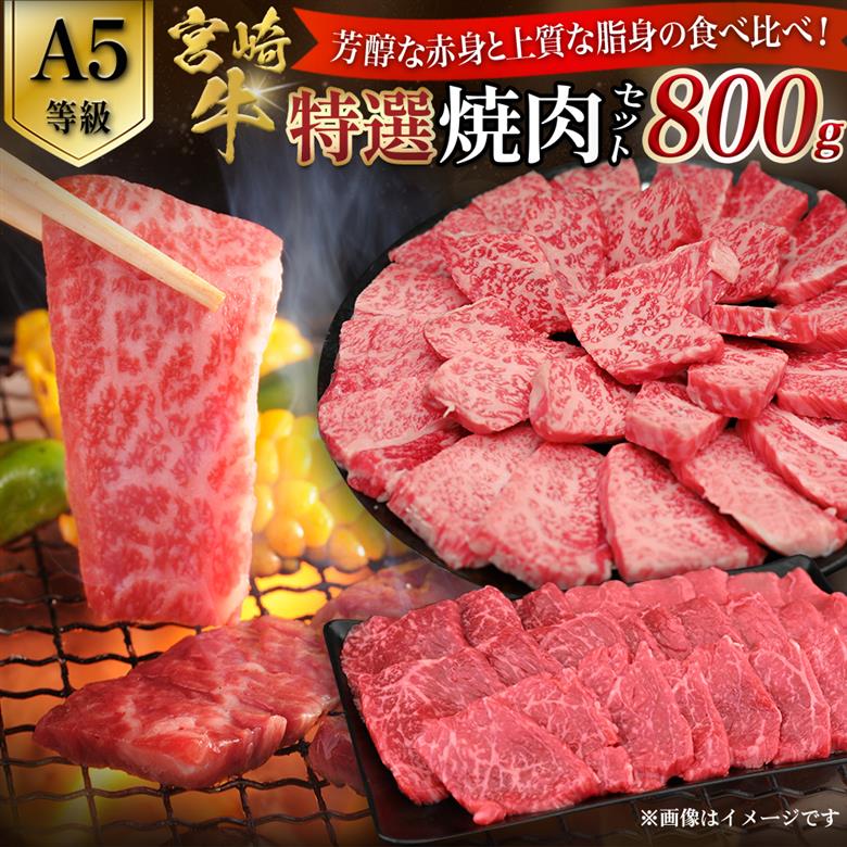 【選べる容量】【A5等級】宮崎牛 特選焼肉セット 計800g（赤身・霜降り） 宮崎牛 プレミアムシリーズ ブランド牛 和牛 牛肉 焼肉 特選和牛 霜降り A5 宮崎県 小林市 800g
