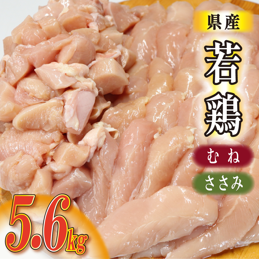 【カット済み】宮崎県産若鶏ヘルシーセット 計5.6kg（むね肉 ささみ 鶏肉 鶏ムネ ムネ 唐揚げ 焼き鳥）