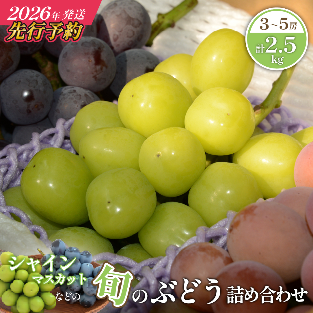 【先行予約/2026年発送】シャインマスカット等の旬のぶどう詰め合わせ 2.5kg（シャインマスカット ぶどう ブドウ 果物 セット 詰め合わせ フルーツ 2026 贈答用 限定）