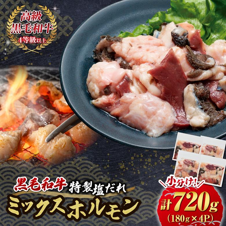 【自社農場和牛】黒毛和牛 特製塩だれミックスホルモン 720g（国産 黒毛和牛 宮崎牛 牛肉 塩だれ ホルモン ミックスホルモン 冷凍 宮崎県 小林市）