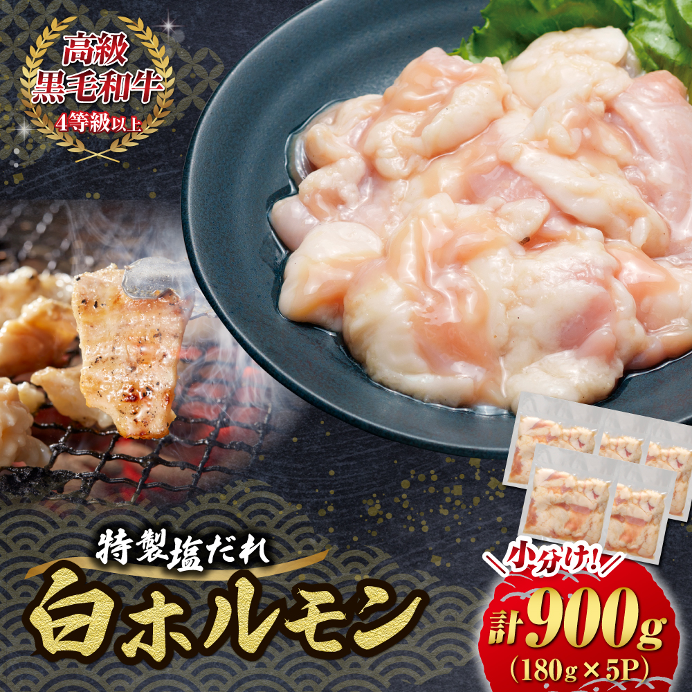 【自社農場和牛】黒毛和牛 特製塩だれ白ホルモン 900g（国産 黒毛和牛 宮崎牛 牛肉 塩だれ ホルモン 白ホルモン 冷凍 宮崎県 小林市）