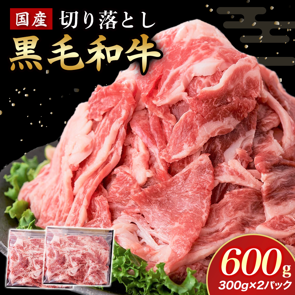 【小分けで便利】国産黒毛和牛切り落とし 600g （ 国産 牛 牛肉 黒毛和牛 切り落とし 真空 小分け 冷凍 宮崎県 小林市 ） 300g×2P