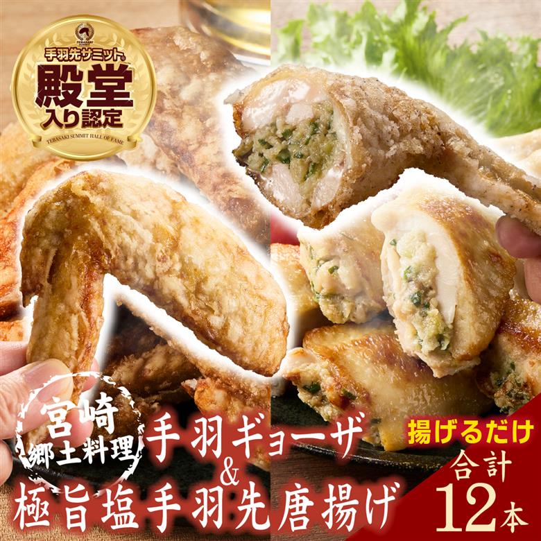 【手羽先サミット殿堂入り！】極旨塩 手羽先 唐揚げ 手羽ギョーザ セット 計12本（国産 鶏肉 手羽先 ギョウザ 餃子 塩 味付き 人気）