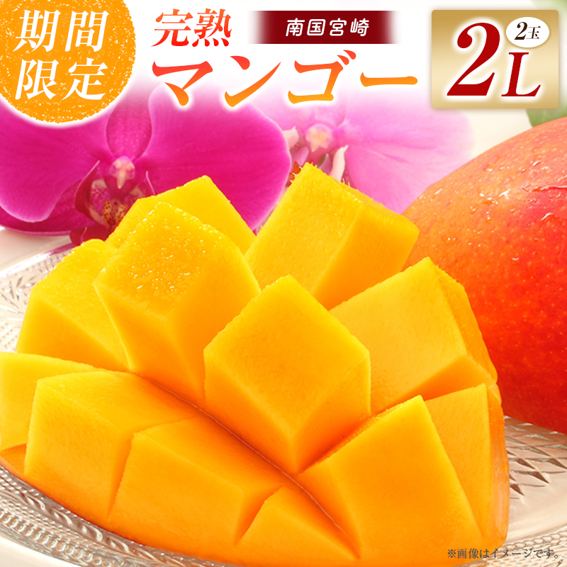 【令和8年発送 先行予約】完熟マンゴー 2L×2玉（フルーツ マンゴー 完熟マンゴー アップルマンゴー 果物 くだもの 先行受付） ２L×２玉