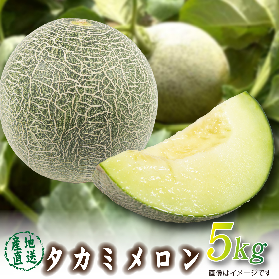 【2026年発送 先行予約】生産農家応援・もぎたて直送 タカミメロン 5kg程度（メロン フルーツ 果物 くだもの 先行受付 2026 宮崎）